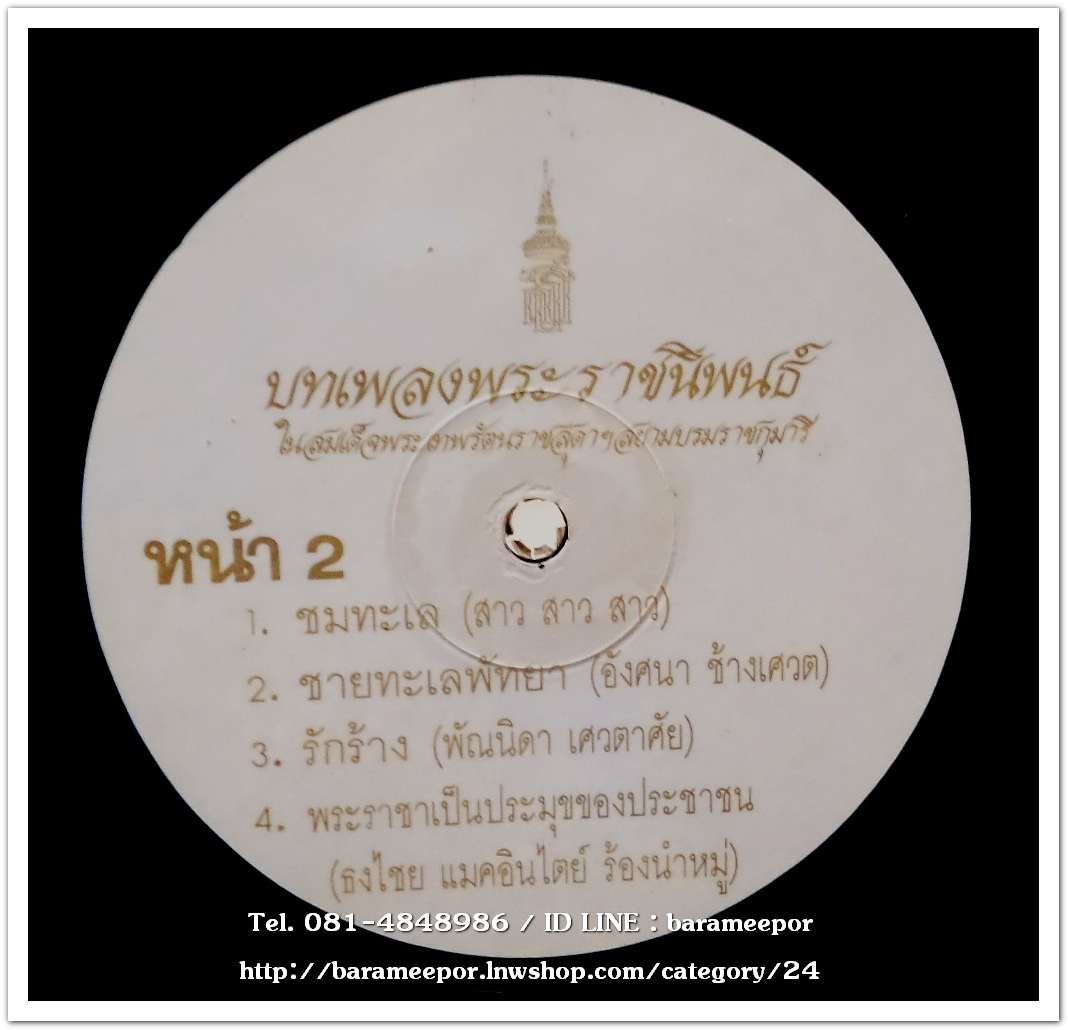 บทเพลงพระราชนิพนธ์ ในสมเด็จพระเทพรัตนราชสุดา ฯ มีศิลปินร่วมขับร้องหลายคน