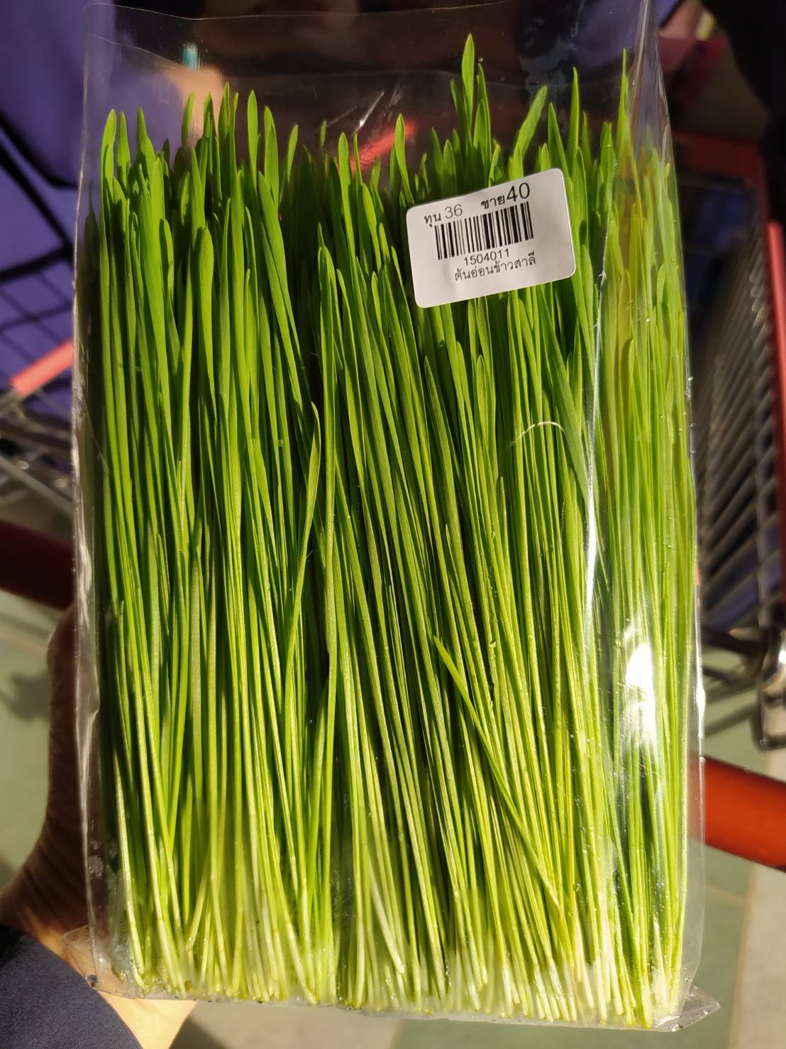 15-040-1100-0 ต้นอ่อนข้าวสาลี 100ก.สขจ.