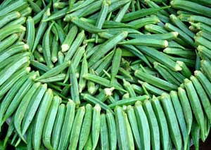 กระเจี๊ยบมอญเขียว - Crimson Green Okra