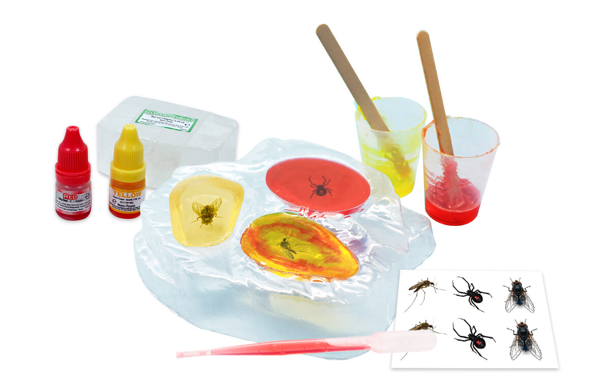 VB060 Amber Workshop ชุดทดลองวิทยาศาสตร์ ของเล่น DIY ทดลอง Science show อำพันสัตว์