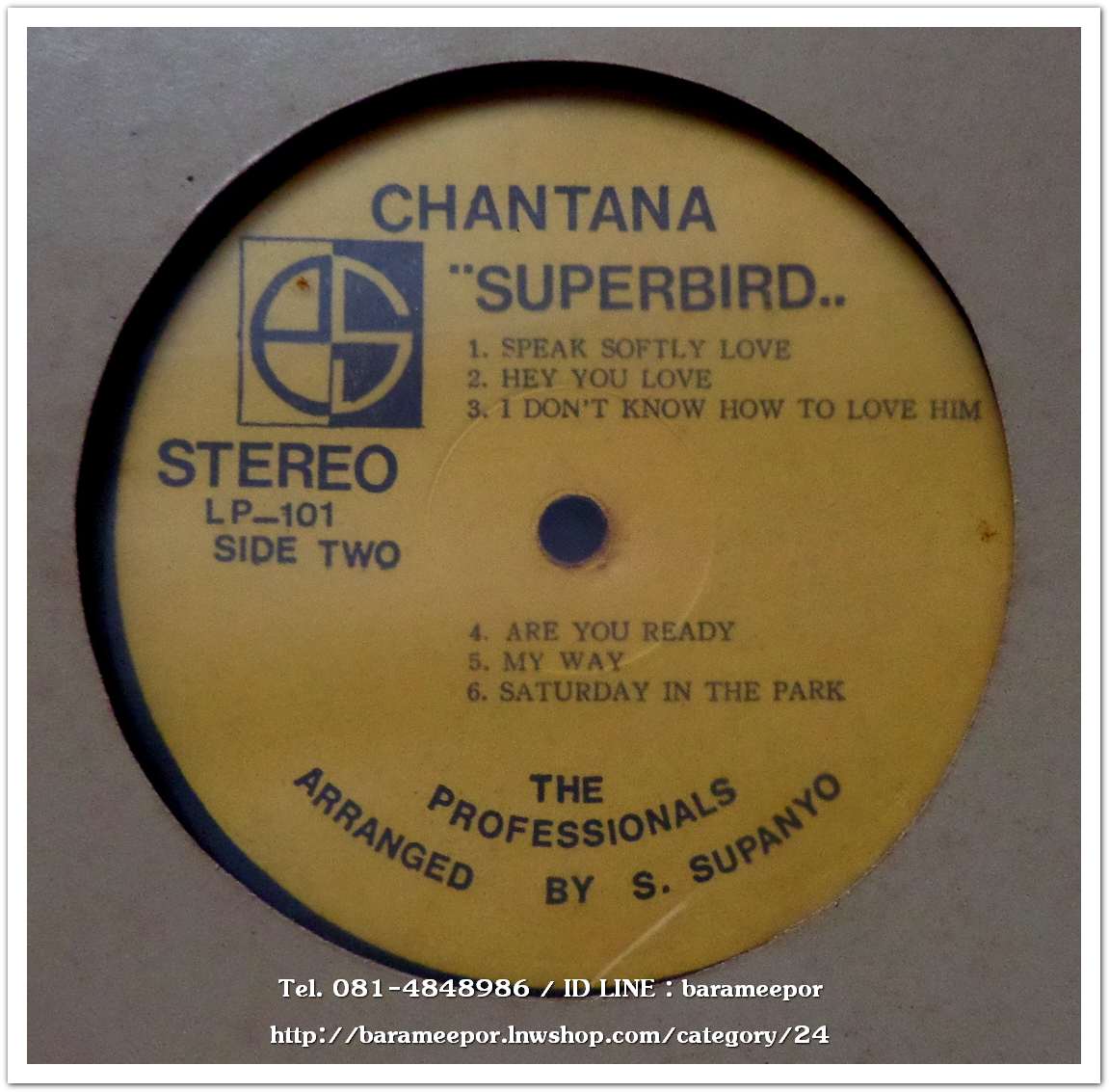 ฉันทนา กิติยพันธ์ กับอัลบั้มเพลงสากลทั้งชุด CHANTANA SUPERBIRD