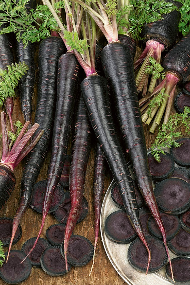 แครอทดำ แบล็คเนบิวล่า - Black Nebula Carrot