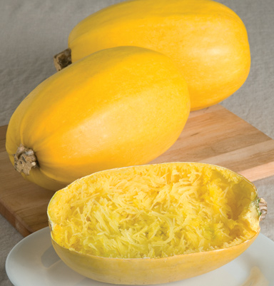 (Whole 1 LB ) ฟักทอง สปาเก็ตตี้ - Spaghetti Squash Seed ( 1 ปอนด์)