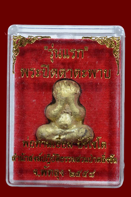 พระปิดตาพิมพ์ตะพาบ รุ่นแรก พ่อท่านเอื้อม สำrนักสงฆ์สวนป่าตลิ่งชัน