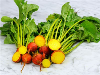 หัวบีชเหลืองโกลเด้นดีทรอย - Golden Detroit Beet