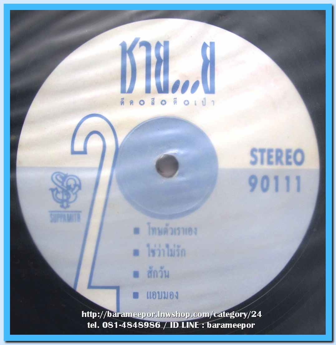 วงชาย..ย ชุด ดีด สี ตี เป่า