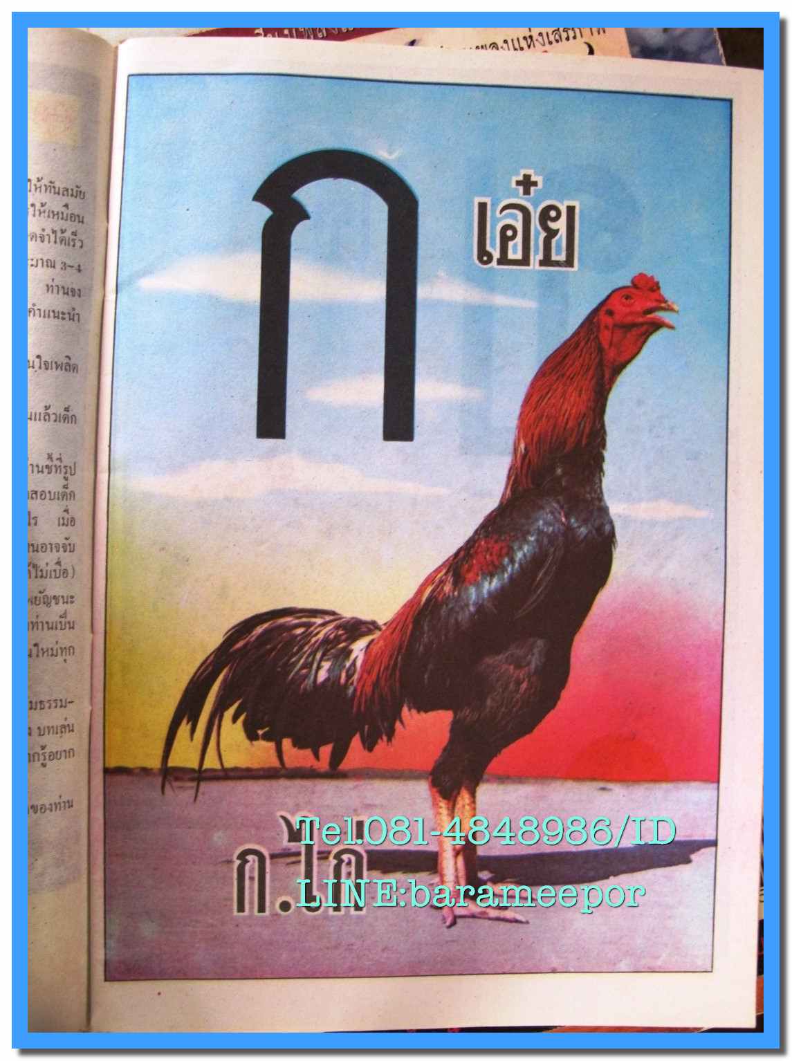 หนังสือ แบบเรียน ก.ไก่ อนุบาล ปี 2533 หน้าครบ สภาพดี
