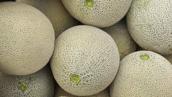 เมล่อน ท็อปมาร์ค - Top Marks Melon