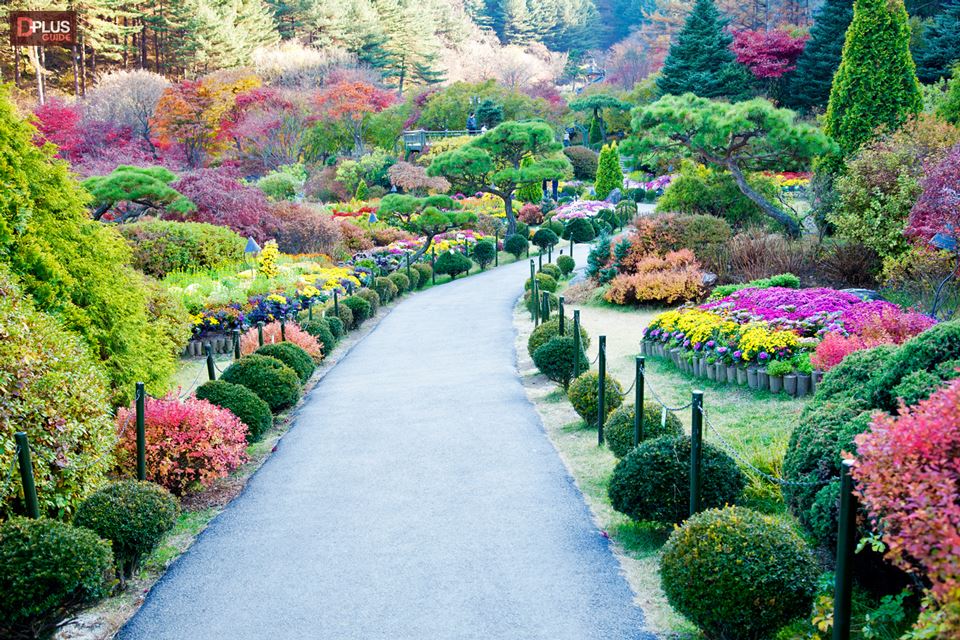 สองขาพาตะลุยเกาหลี Seoul และรอบโซล