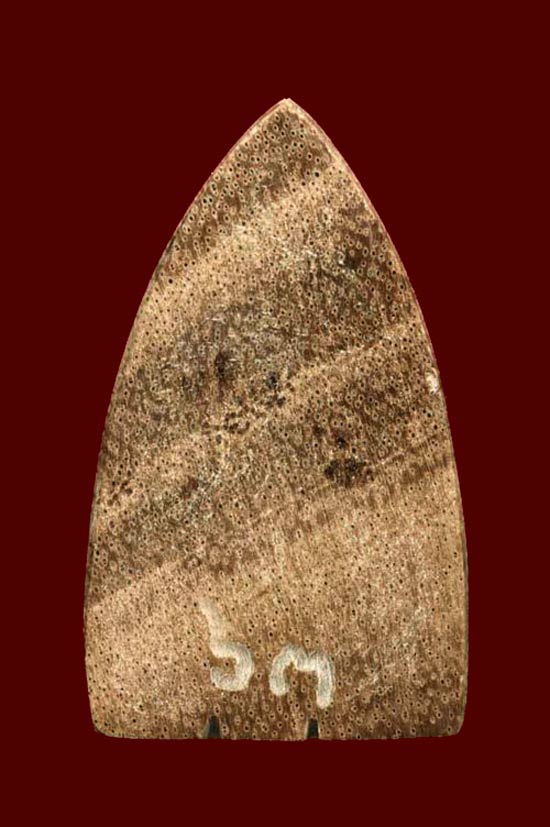 *หายาก* หลวงพ่อทวด พิมพ์ใหญ่ เนื้อคตไม้สักกลายเป็นหิน อาจารย์นอง วัดทรายขาว ปี 2539