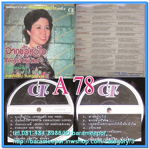 เพียงพิศ เลิศวิไล เพลงชุด 2 ภาษาชุดที่ 2 จากขั้วหัวใจ Forget me not