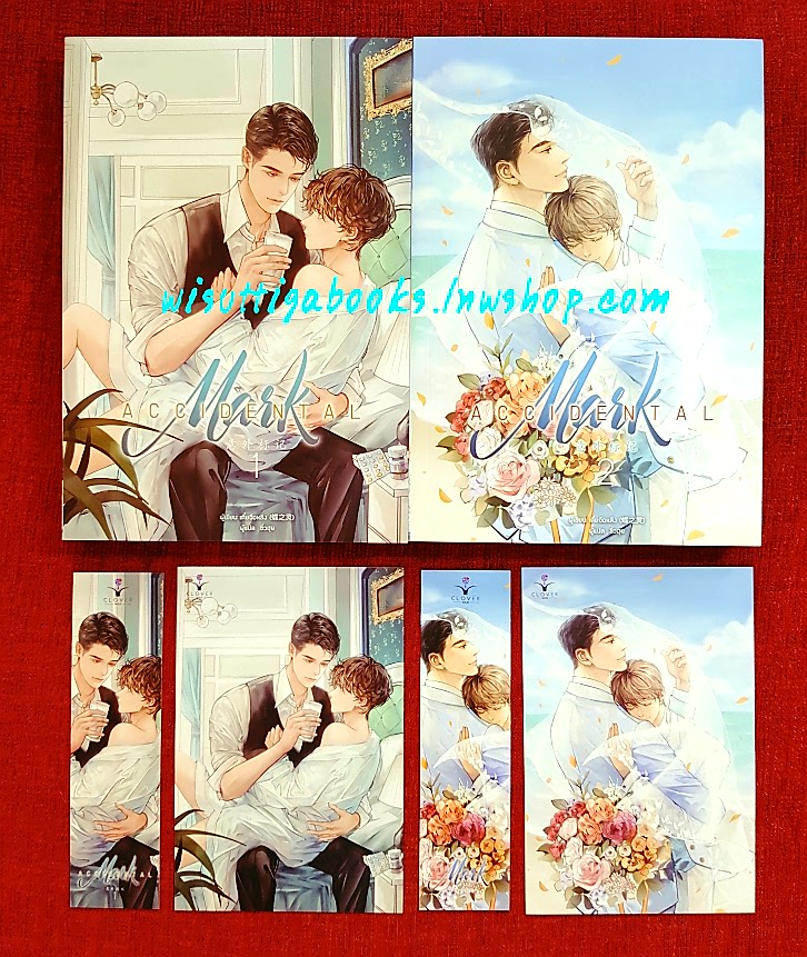 ACCIDENTAL Mark (2 เล่มจบ+ที่คั่น+โปสการ์ดครบ): เตี๋ยจือหลิง เขียน . แปล