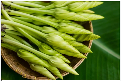 เมล็ดพันธุ์ ดอกชมจันทร์ White Morning Glory Seed 20 เมล็ด