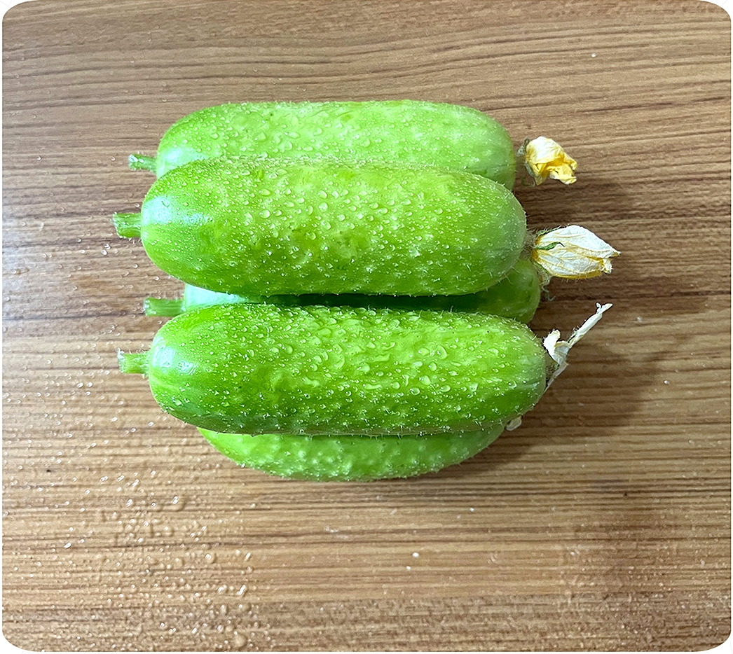 เมล็ดพันธุ์ แตงกวา โกลเด้นนักเก็ต Golden Nugget Cucumber F1 Seed