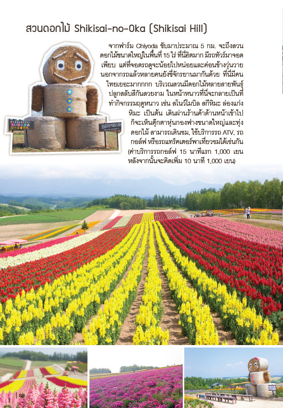 ขับรถเที่ยว ฮอกไกโด