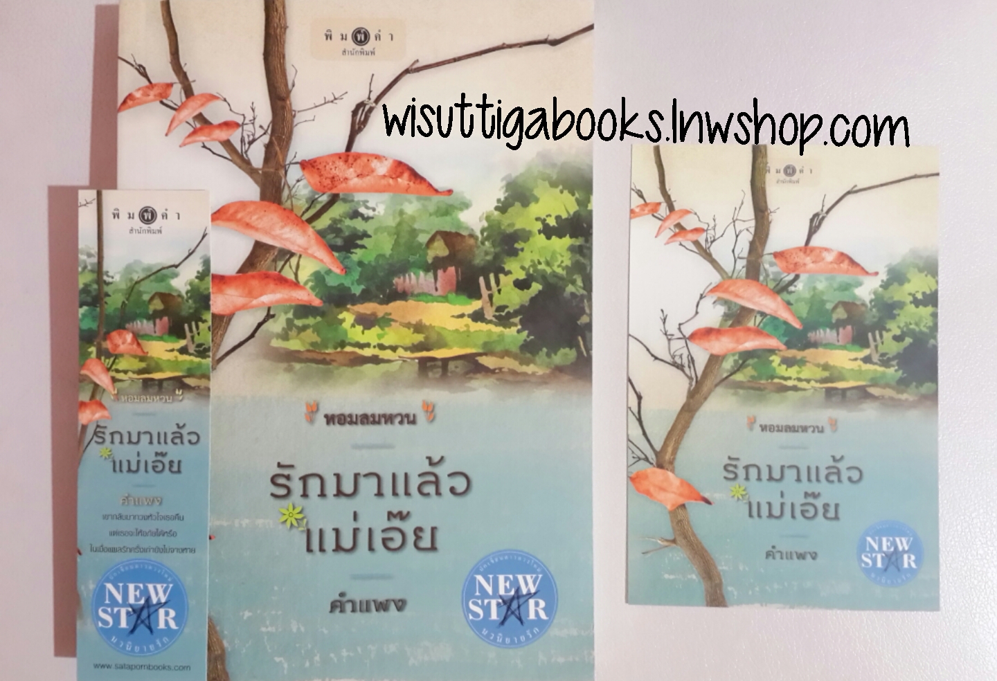รักมาแล้ว แม่เอ๊ย โดย คำแพง