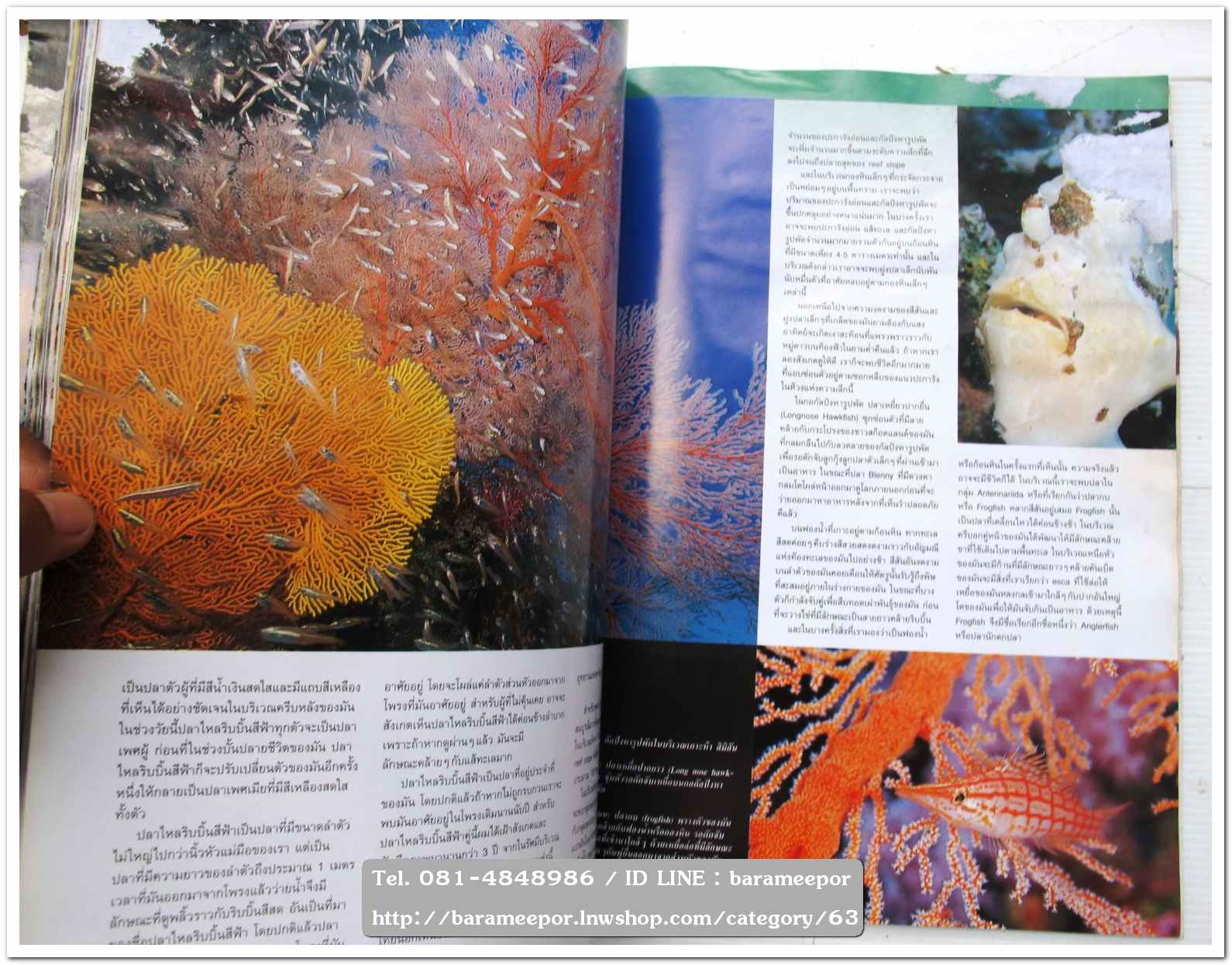 A35 หนังสือรถ NISSAN MAGAZINE