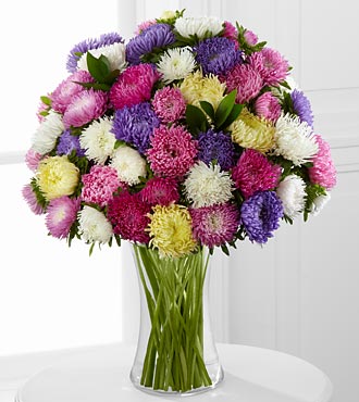 ดอกแอสเตอร์ - Powder Puff Aster Flower Mix