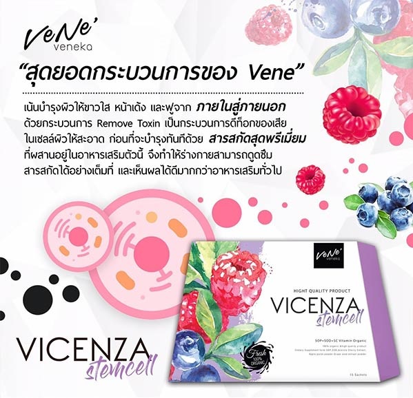Vene Vicenza ช่วยเรื่องอะไร เวเน่ เวเนก้า ช่วยเรื่องอะไร