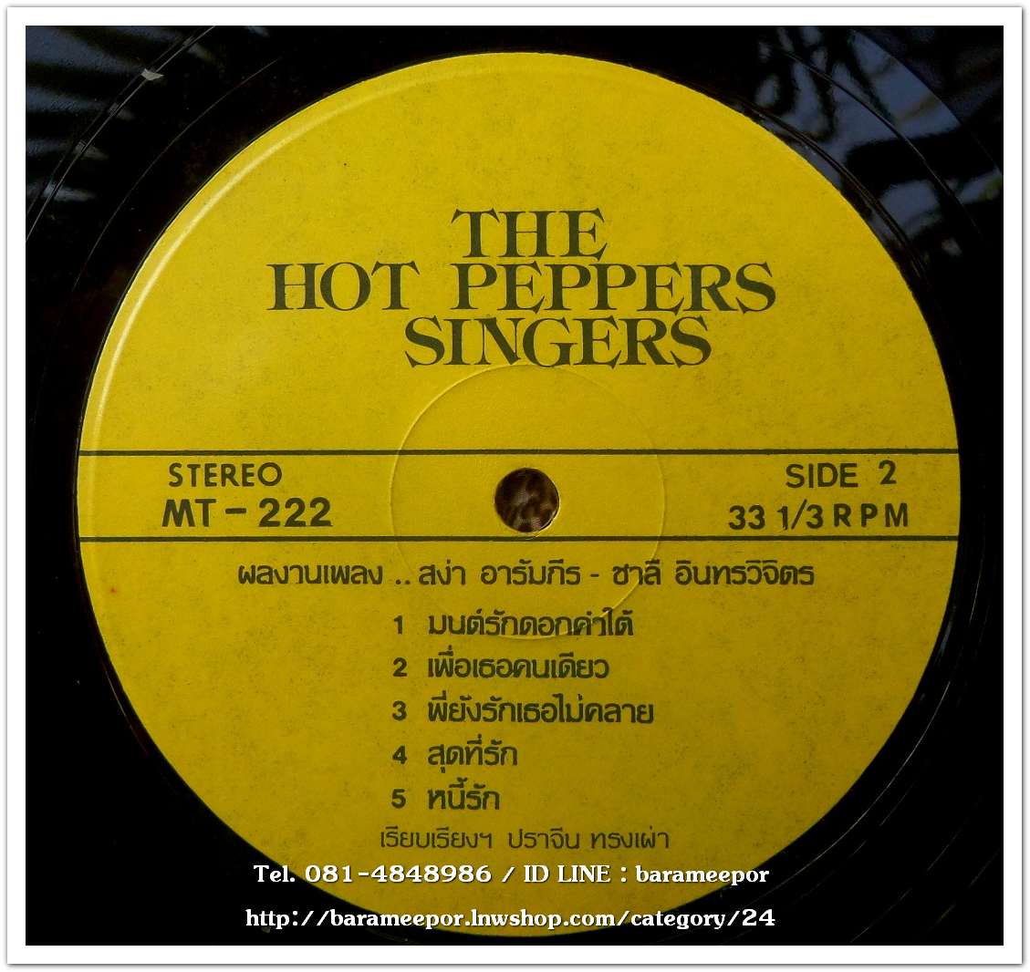 THE HOT PEPER SINGER ชุด หนึ่งในร้อย