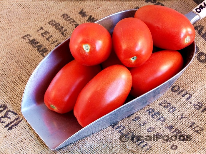 มะเขือเทศโรม่า วีเอฟ - Roma VF Tomato