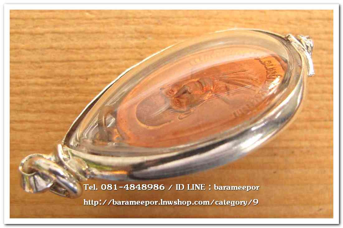 พระครูอดุยคุณาธาร(หลวงพ่อหวน) เหรียญรุ่นแรก รูปไข่เนื้อทองแดง ๖ ยาว ทำบุญครบ ๖ รอบ ปี ๒๕๔๒ วัดโคกหล่อ ตรัง..4