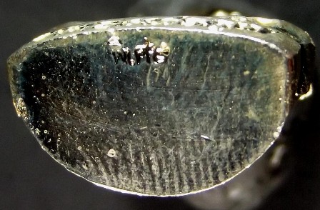 หลวงพ่อคูณ รุ่นปาฏิหาริย์ EOD รูปเหมือนปั้ม กะไหล่ทอง