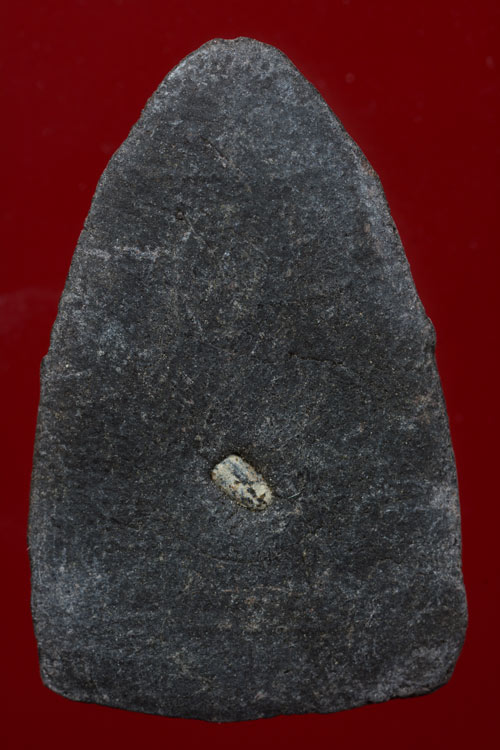 หลวงพ่อทวด รุ่นวิเศษ60 พิมพ์กรรมการ เนื้อว่านหลังฝังเม็ดข้าวสารดำ วัดทรายขาว พ.ศ.2541