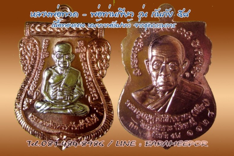 เหรียญหลวงพ่อทวด - พ่อท่านเขียว รุ่นกันภัย 58 แยกจากชุดกรรมการเล็ก มีให้เลือกหลายเนื้อ