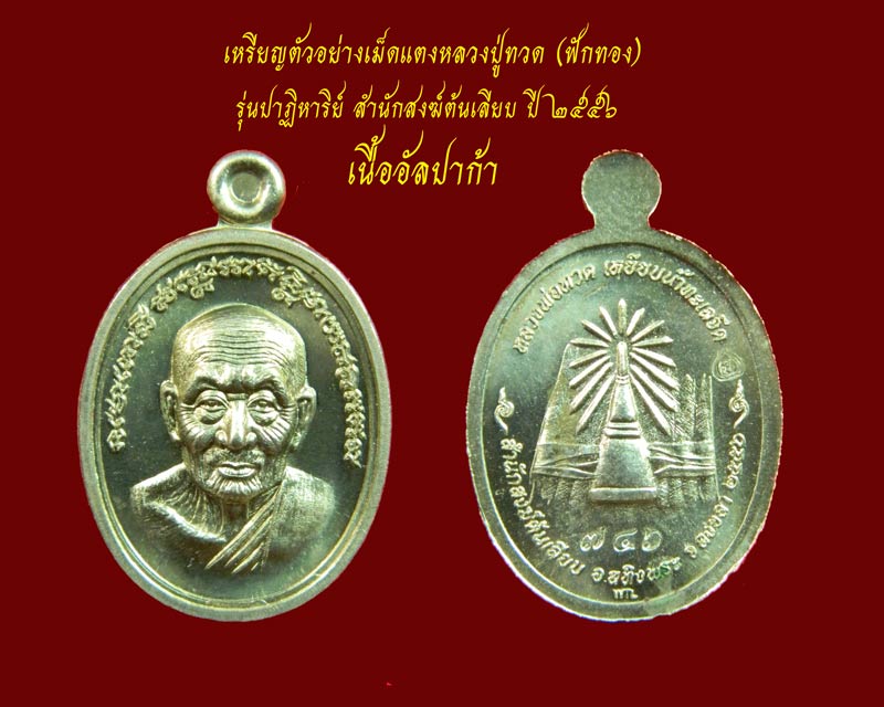 *5 เหรียญ* เหรียญเม็ดแตง (ฟักทอง) หลวงพ่อทวด ปาฏิหาริย์ สำนักสงฆ์ต้นเลียบ ปี2556 เนื้ออัลปาก้า