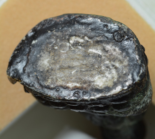 พระกริ่งพุทธศิลา พระครูไพโรจน์นราธิคุณ วัดราฏร์สโมสร จ.นราธิวาส