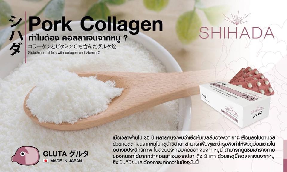 Pork Collagen ทำไมต้องคอลลาเจนจากหมู