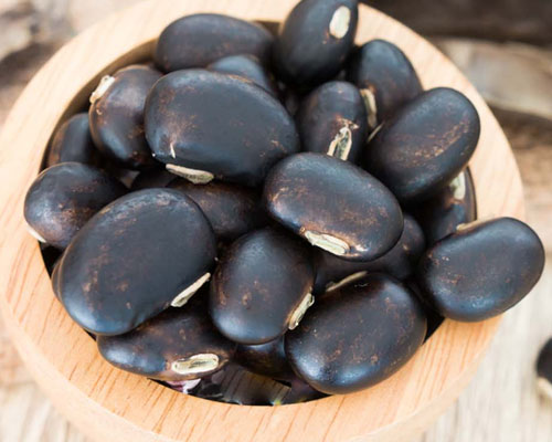 เมล็ดพันธุ์ หมามุ้ย อินเดีย Indian Black Velvet Bean Seed
