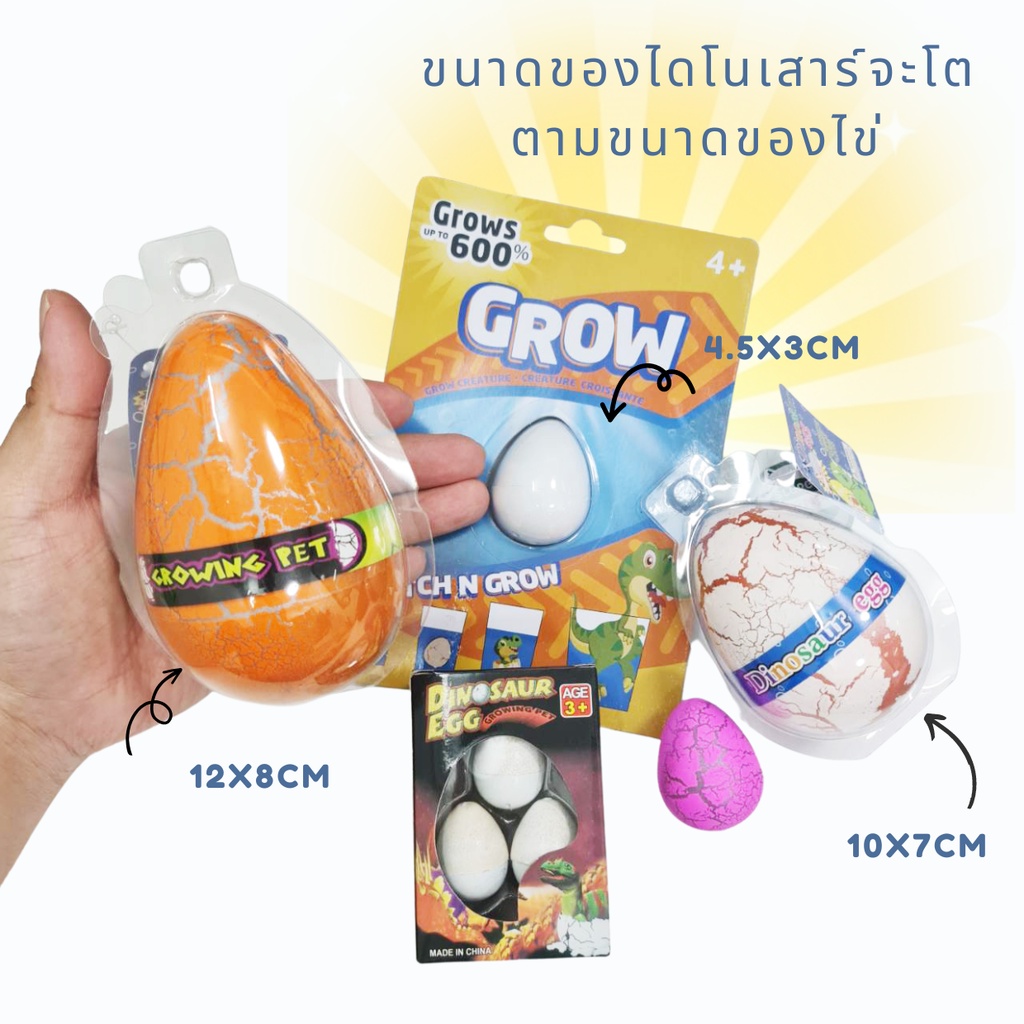 DI003 ไข่ไดโนเสาร์เเช่น้ำ DINOSAUR EGG ฟักไข่ ไข่เซอร์ไพรส์ ของเล่น ไข่เซอร์ไพร์สไดโนเสาร์ ไข่ไดโนเสาร์