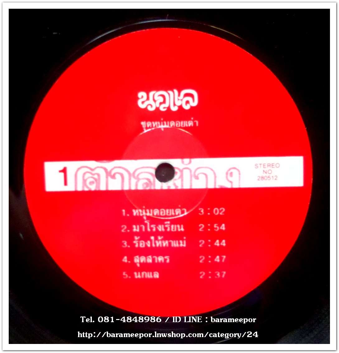 วงนกแล ชุด หนุ่มดอยเต่า อัลบั้มแรก