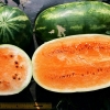 (Whole 1 Oz) แตงโม เทนเดอร์สวีส - Tendersweet Orange Watermelon
