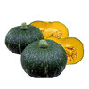 เมล็ดพันธุ์ ฟักทองญี่ปุ่น มิโดริบิวตี้ Midori Beauty Kabocha Squash F1 Seed