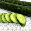 เมล็ดพันธุ์ แตงกวาญี่ปุ่น มิไร 115 Mirai 115 F1 Japanese Cucumber Seed