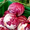 แรดิชิโอ - Radicchio Palla Rosa