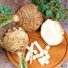 เมล็ดพันธุ์ เซเลอรีแอค หัวคื่นฉ่าย - Giant Prague Celeriac Seed
