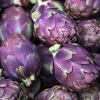 อาติโช้ค สีม่วง - Purple artichoke