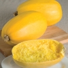 (Whole 1 Oz) ฟักทอง สปาเก็ตตี้ - Spaghetti Squash Seed