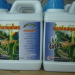 67-101-0310-0 น้ำสกัดสมุนไพร 03 ปฐม 1 ลิตร/ขวด กำจัดแมลง