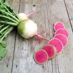 (Whole 1 Oz) เรดิชแตงโม - Watermelon Radish
