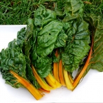 (Whole 1 Oz) สวิสชาร์ตสีส้ม - Orange Swiss Chard