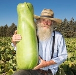 น้ำเต้าซัคก้า - Zucca Gourd