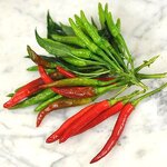 เมล็ดพันธุ์ พริกช่อญี่ปุ่น ยา ซึ ฟูซ่า - Yatsufusa Japanese Pepper Seed