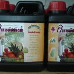 67-101-0210-0 น้ำหมักชีวภาพสูตร 2 ปฐม 1 ลิตร/ขวด ดอก ผล