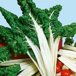 สวิสชาร์ตสีเขียว - Fordhook Swiss Chard