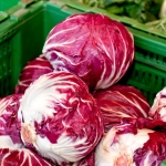 แรดิชิโอ - Radicchio Palla Rosa